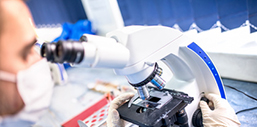 Laboratory Investigations